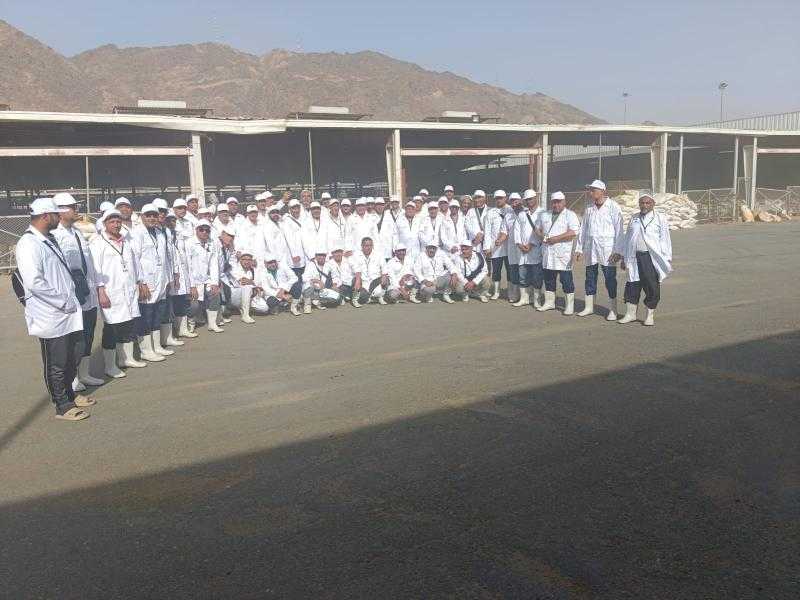 البعثة البيطرية المصرية للهدي والأضاحي تتلقى رسالة شكر من السلطات السعودية لجهودها في إنجاح الموسم