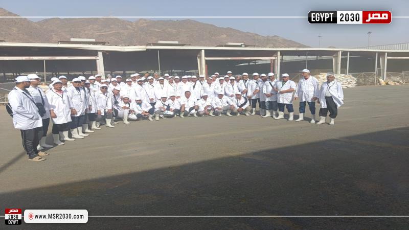 البعثة البيطرية المصرية للهدي والأضاحي