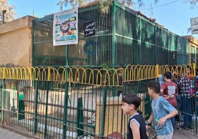 الزراعة تكشف عدد الزائرين لحدائق الحيوان الإقليمية والأسماك بالزمالك بأول يومين لعيد الأضحى