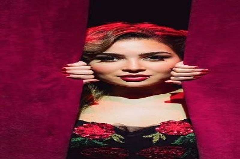 مي عز الدين
