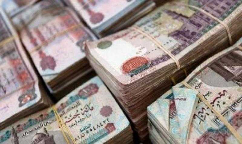 الداخلية تضبط عنصريين جنائيين فى قضايا غسل أموال