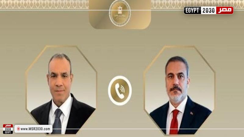 وزير الخارجية المصري ونظيره التركي