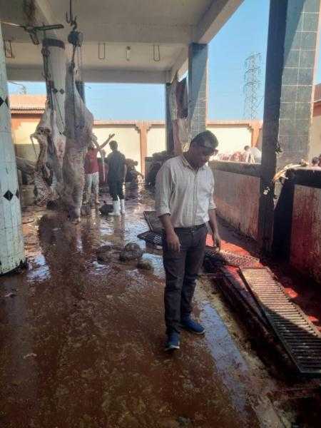 صحة الشرقية: حملات مكثفة من صحة البيئة على السلخانات ومصادر المياه خلال عيد الأضحى المبارك