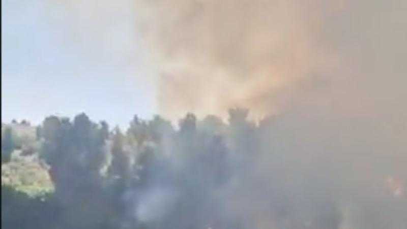 8 طائرات للإطفاء.. حريق هائل في غابات عين كارم بالقدس المحتلة