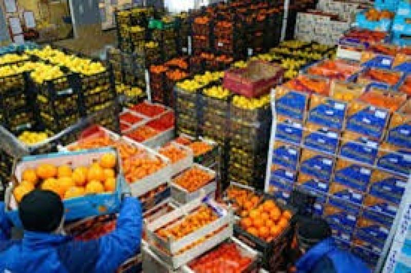 مصر تصدر 4.8 مليون طن منتجات زراعية منذ بداية العام