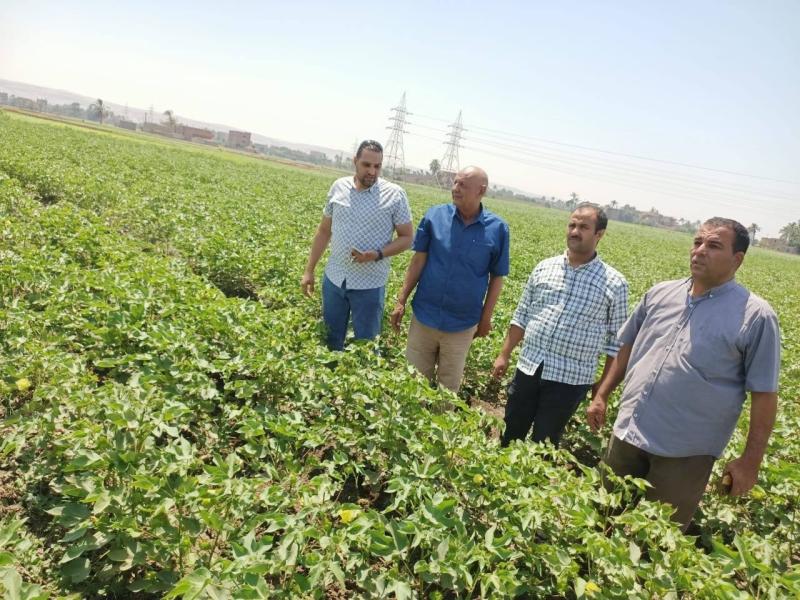 محافظة أسيوط 