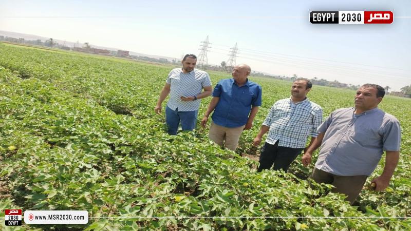 محافظة أسيوط