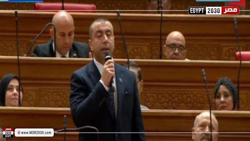 النائب أحمد بهاء شلبي رئيس الهيئة البرلمانية لحزب حماة الوطن