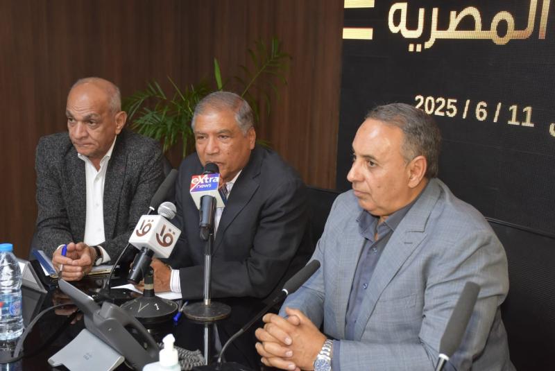 عفت السادات: تركيز شديد على المقاعد الفردية حتى وإن لم يكن هناك ممثلون على كل المقاعد
