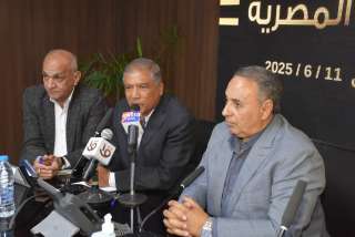 عفت السادات: تركيز شديد على المقاعد الفردية حتى وإن لم يكن هناك ممثلون على كل المقاعد