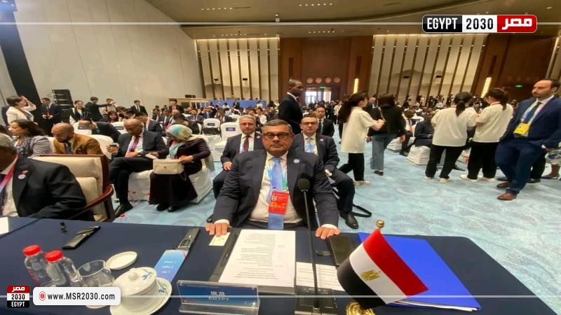 السفير أبو بكر حفني محمود، نائب وزير الخارجية
