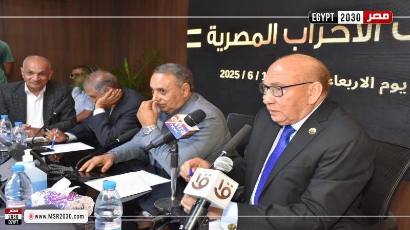 المستشار جمال التهامي، رئيس حزب حقوق الإنسان والمواطنة