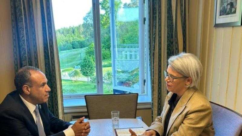 بيان مصري أوروبي عاجل بشأن تطورات القرن الأفريقي والأزمة السودانية