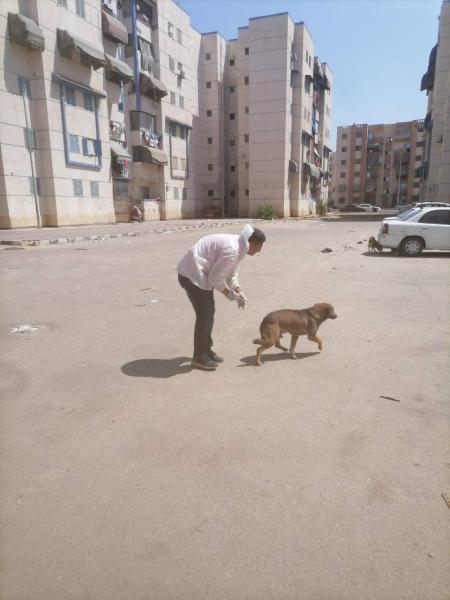 محافظة بورسعيد 