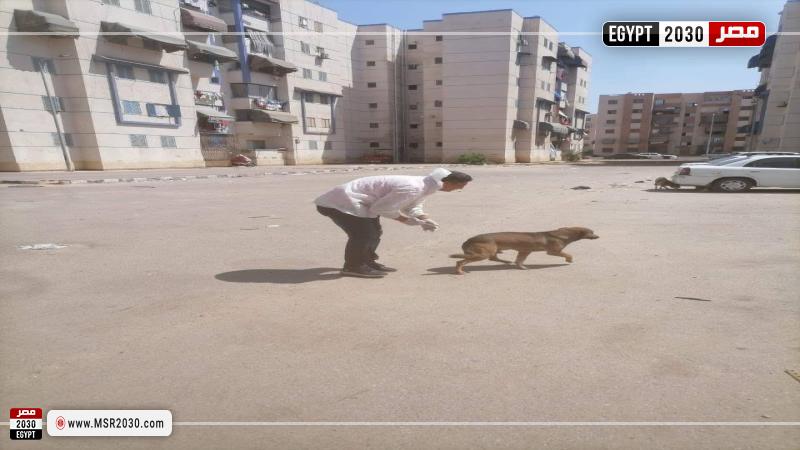 محافظة بورسعيد