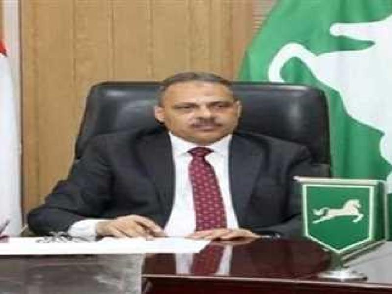 محافظ الشرقية 