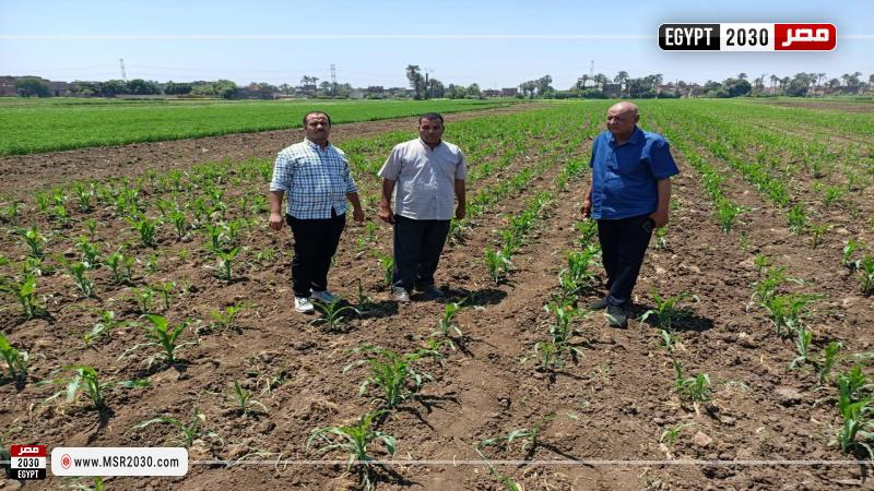 مديرية الزراعة بأسيوط