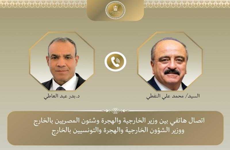 وزيرا خارجية مصر وتونس يتفقان على أهمية العمل المشترك على وقف التصعيد بالمنطقة