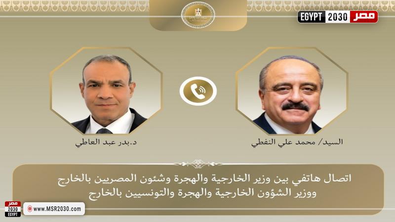 وزيرا خارجية مصر وتونس