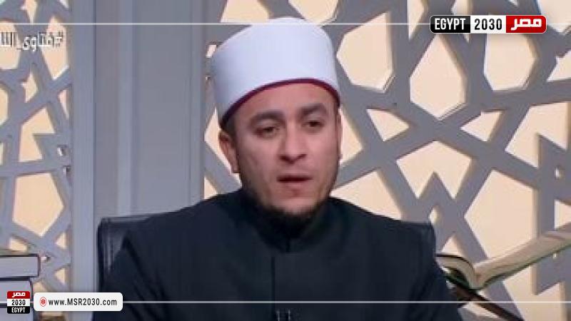 الدكتور محمود شلبي