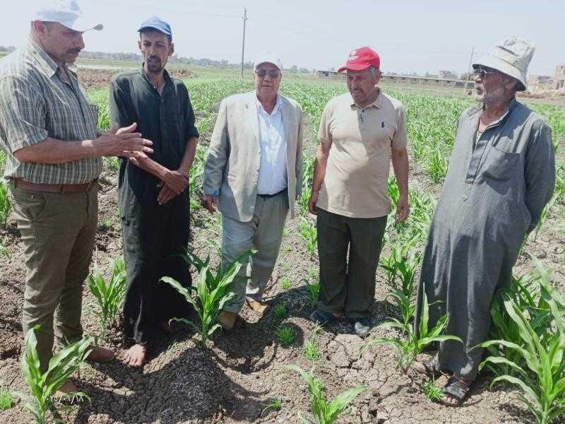 المركزية لمكافحة الآفات تنهي أعمال حملة مكافحة القوارض وتواصل متابعة الآفات الأخرى بالمحاصيل الصيفية