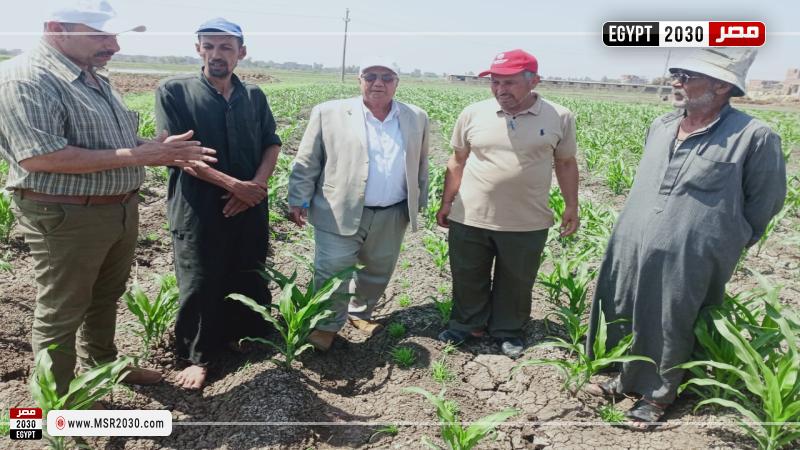 وزارة الزراعة