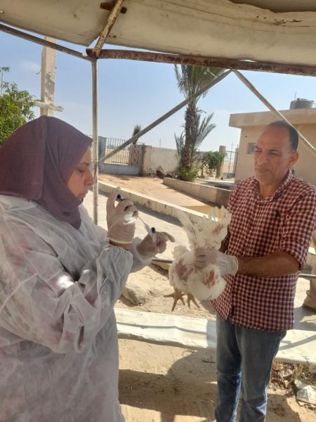 محافظة الإسماعيلية 