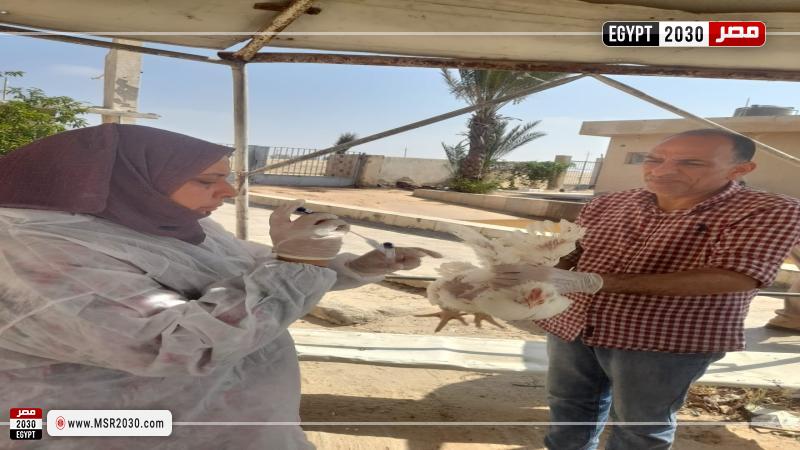 محافظة الإسماعيلية