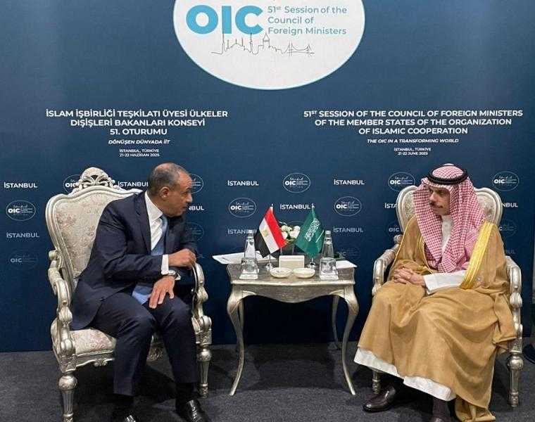 وزير الخارجية يجري مباحثات مع نظيره السعودي على هامش اجتماعات «التعاون الإسلامي»