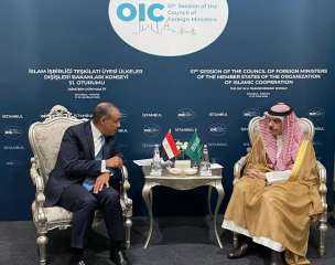 وزير الخارجية يجري مباحثات مع نظيره السعودي على هامش اجتماعات «التعاون الإسلامي»