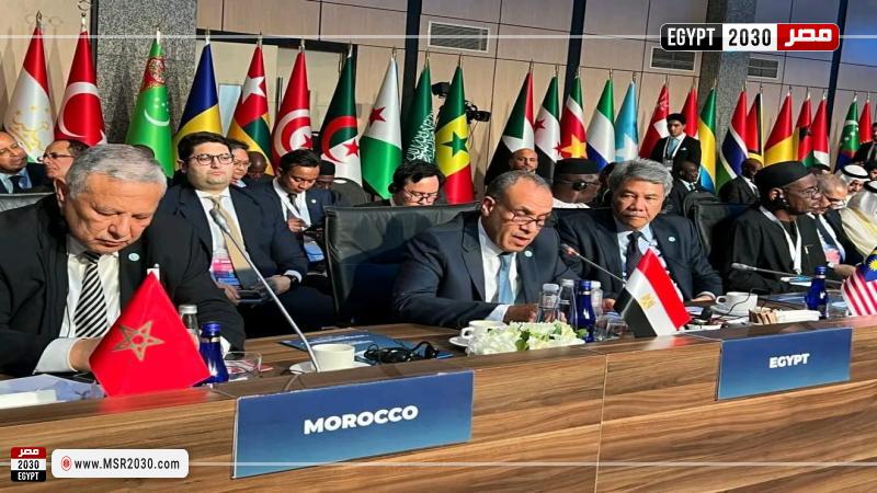 كلمة د. بدر عبد العاطي خلال اجتماع وزراء خارجية منظمة التعاون الإسلامي في إسطنبول