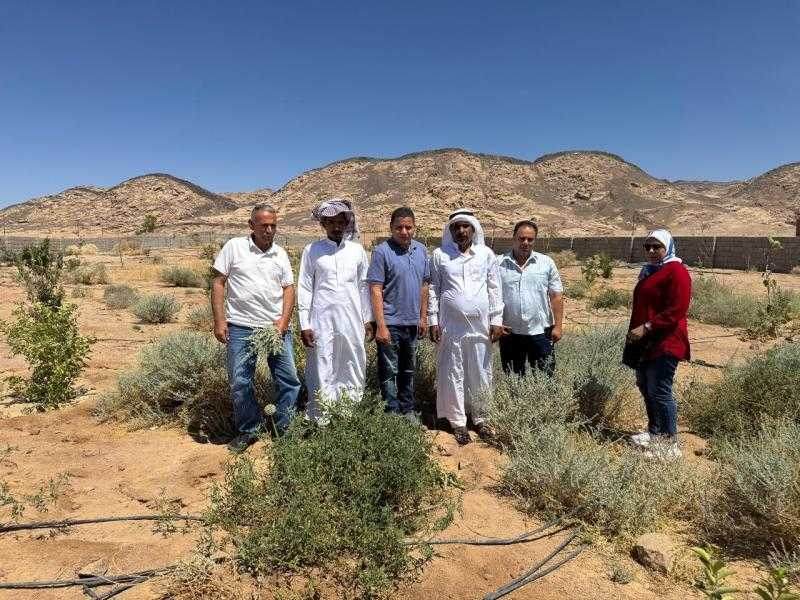 بحوث الصحراء يطلق المرحلة الثانية من مشروع التنمية الزراعية بجنوب سيناء