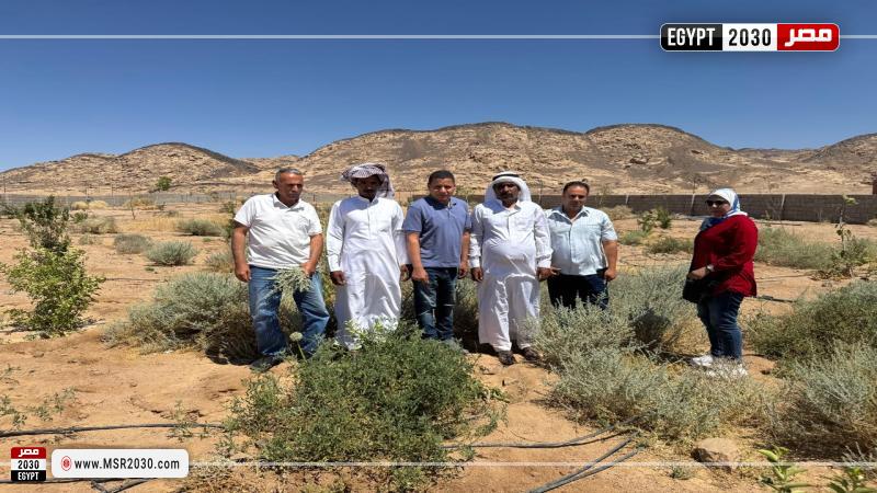 بحوث الصحراء 