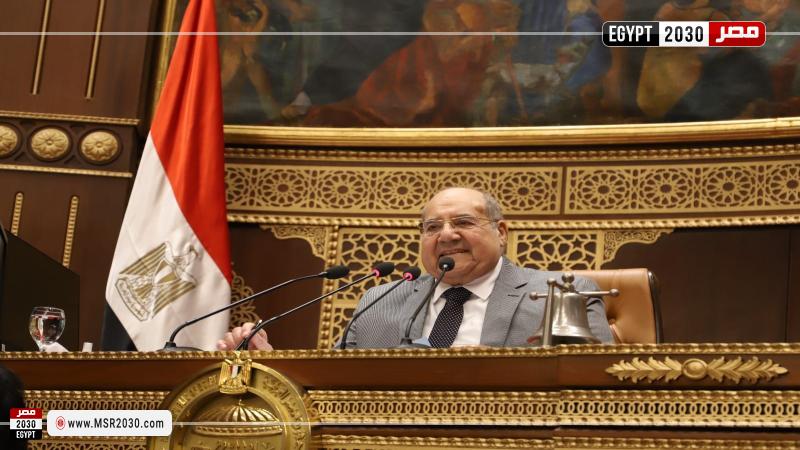 المستشار عبد الوهاب عبد الرازق رئيس مجلس الشيوخ