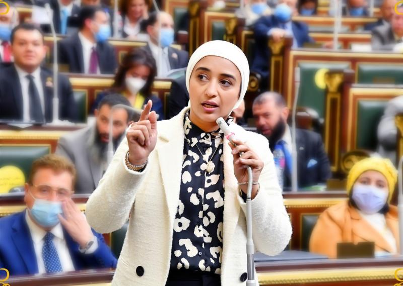 النائبة أميرة أبوشقة