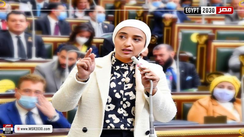 النائبة أميرة أبوشقة