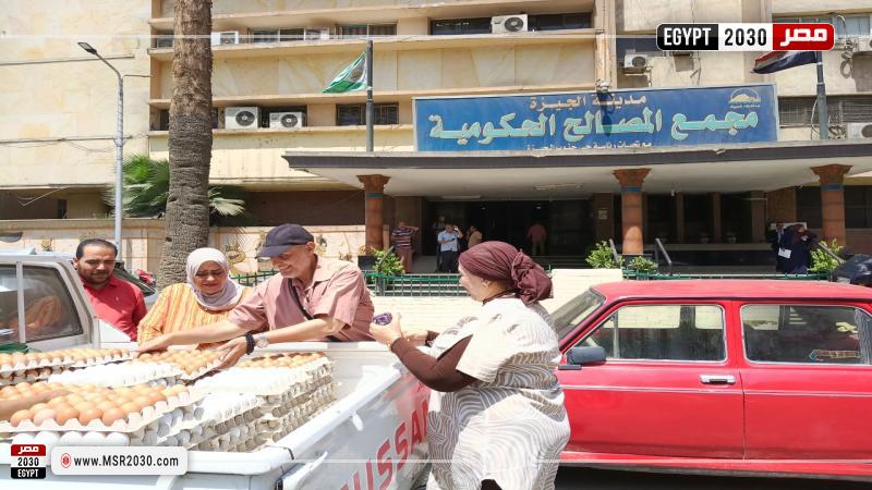 وزارة الزراعة 