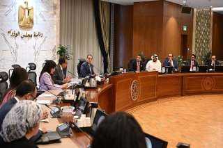 «مدبولي» يستعرض مع رئيس مؤسسة «برجيل القابضة» أوجه التعاون في مجال زرع النخاع