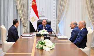 السيسي يبحث جهود تحسين الشبكة القومية للكهرباء