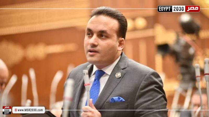 النائب عمرو فهمي، عضو مجلس الشيوخ