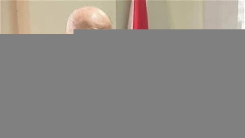 المستشار محمد الشناوي