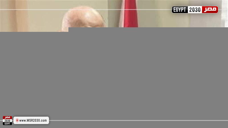 المستشار محمد الشناوي