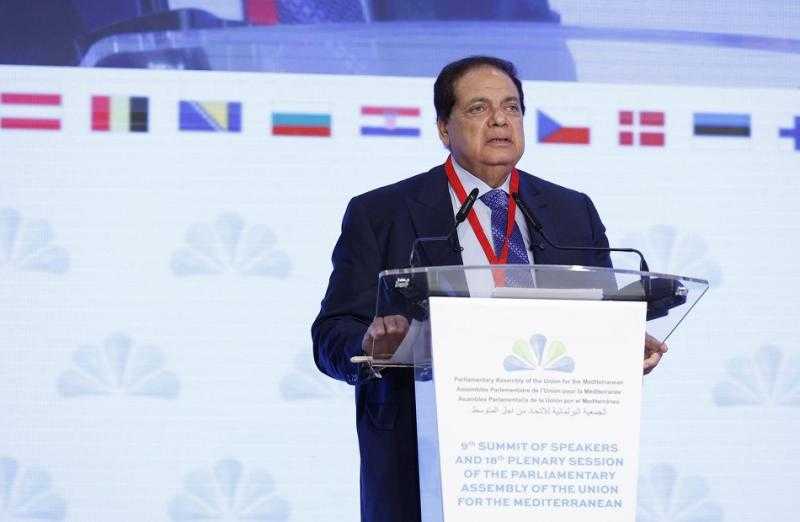 «البرلمانية للاتحاد من أجل المتوسط» يدعمون الثوابت المصرية بشأن القضية الفلسطينية