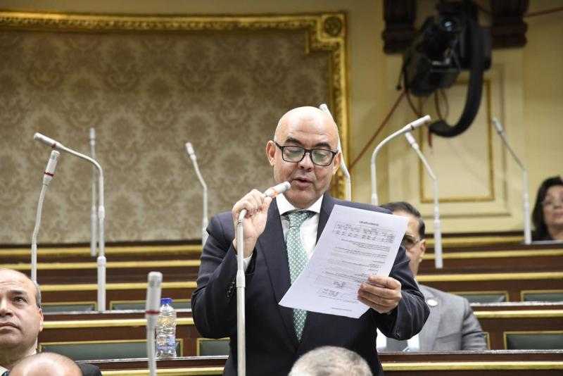 النائب عمرو هندي: ثورة 30 يونيو أكدت تلاحم نسيج المصريين