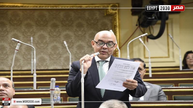 النائب عمرو هندي