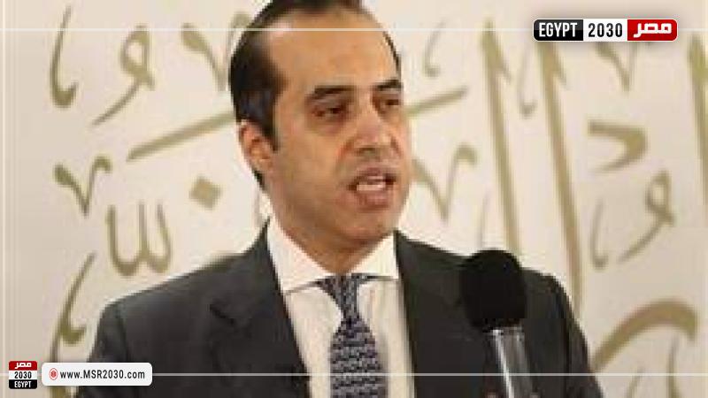 المستشار محمود فوزي