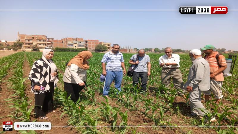 الإرشاد الزراعي