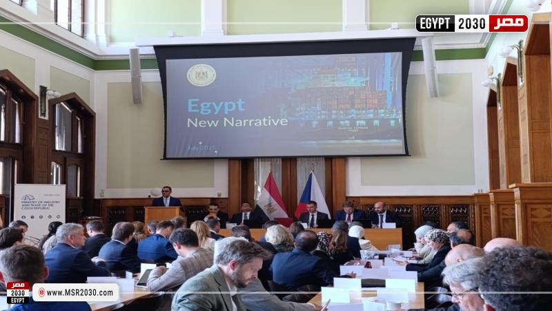 وزير الاستثمار والتجارة الخارجية 