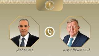 وزير الخارجية يثمن الدعم الدنماركي للمصالح المصرية داخل الاتحاد الأوروبي