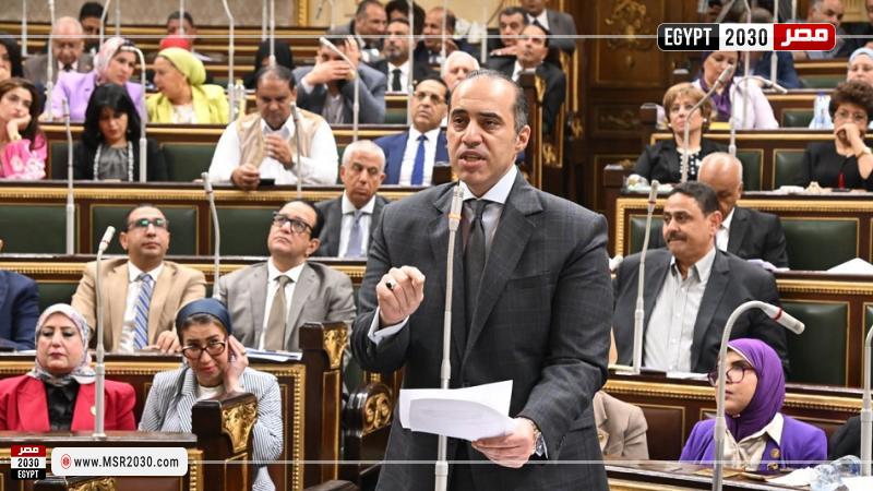 المستشار محمود فوزي وزير الشئون النيابية والقانونية والتواصل السياسي